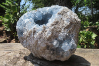 Natural Celestite Geode Specimen x 1 From Sakoany, Madagascar