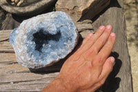 Natural Celestite Geode Specimen x 1 From Sakoany, Madagascar