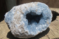 Natural Celestite Geode Specimen x 1 From Sakoany, Madagascar