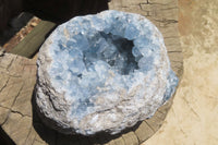 Natural Celestite Geode Specimen x 1 From Sakoany, Madagascar