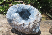 Natural Celestite Geode Specimen x 1 From Sakoany, Madagascar