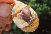 Polished Picture Stone Pendant with Hand Painted Buffaloes - Sold Per Item - From Namibia