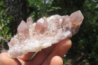 Natural Red Hematoid Quartz Clusters x 6 From Karoi, Zimbabwe