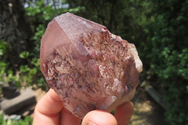 Natural Red Hematoid Quartz Clusters x 6 From Karoi, Zimbabwe