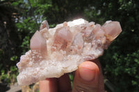 Natural Red Hematoid Quartz Clusters x 6 From Karoi, Zimbabwe