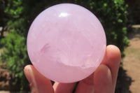 Polished Rose Quartz Spheres x 3 From Ambatondrazaka, Madagascar