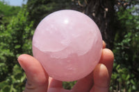 Polished Rose Quartz Spheres x 3 From Ambatondrazaka, Madagascar