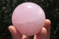 Polished Rose Quartz Spheres x 3 From Ambatondrazaka, Madagascar