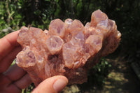 Natural Sugar Amethyst Quartz Clusters x 2 from Solwezi, Zambia