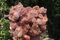 Natural Sugar Amethyst Quartz Clusters x 2 from Solwezi, Zambia