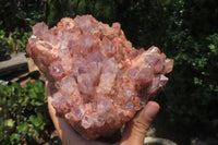 Natural Sugar Amethyst Quartz Clusters x 2 from Solwezi, Zambia