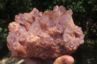 Natural Sugar Amethyst Quartz Clusters x 2 from Solwezi, Zambia