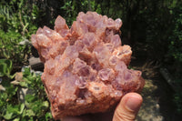 Natural Sugar Amethyst Quartz Clusters x 2 from Solwezi, Zambia