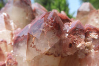 Natural Red Hematoid Quartz Cluster x 1 From Karoi, Zimbabwe