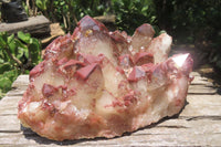 Natural Red Hematoid Quartz Cluster x 1 From Karoi, Zimbabwe