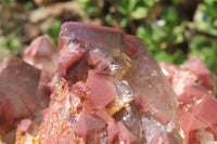 Natural Red Hematoid Quartz Cluster x 1 From Karoi, Zimbabwe