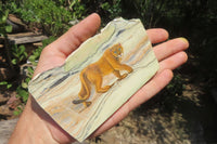 Hand Made Lioness Decoupage on Butter Jade Stone Slabs - sold per item - From South Africa