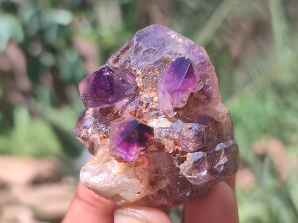 Natural Chiredzi Amethyst Conglomerate Specimens x 12 From Chiredzi, Zimbabwe