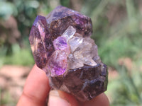 Natural Chiredzi Amethyst Conglomerate Specimens x 12 From Chiredzi, Zimbabwe