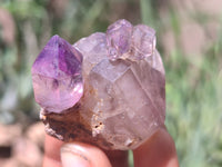 Natural Chiredzi Amethyst Conglomerate Specimens x 12 From Chiredzi, Zimbabwe