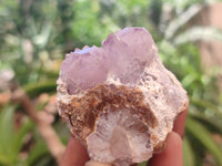 Natural Amethyst Spirit Quartz Clusters x 10 From Boekenhouthoek, South Africa