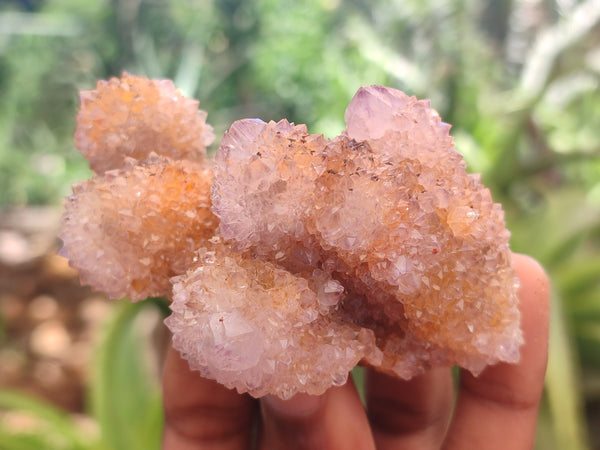 Natural Amethyst Spirit Quartz Clusters x 10 From Boekenhouthoek, South Africa