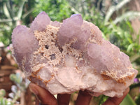 Natural Amethyst Spirit Quartz Clusters x 10 From Boekenhouthoek, South Africa