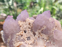 Natural Amethyst Spirit Quartz Clusters x 10 From Boekenhouthoek, South Africa