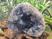 Natural Celestite Geode Specimen x 1 From Sakoany, Madagascar