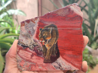 Hand Made Lioness Decoupage on Red Jasper Stone Slabs - sold per item - From South Africa