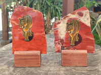 Hand Made Lioness Decoupage on Red Jasper Stone Slabs - sold per item - From South Africa