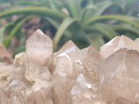 Natural Smokey Phantom Quartz Cluster x 1 From Luena, Congo