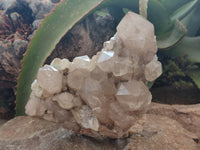 Natural Smokey Phantom Quartz Cluster x 1 From Luena, Congo