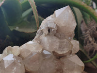 Natural Smokey Phantom Quartz Cluster x 1 From Luena, Congo