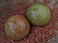 Polished Green Opal Spheres x 2 From Antsirabe, Madagascar