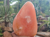 Polished Orange Twist Calcite Standing Free Form x 1 From Maevantanana, Madagascar