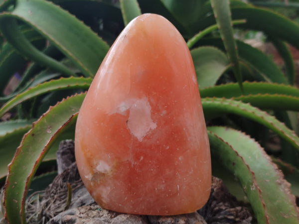 Polished Orange Twist Calcite Standing Free Form x 1 From Maevantanana, Madagascar