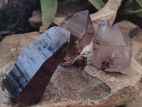 Natural Smokey Quartz Crystals x 6 From Zomba, Malawi