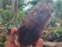 Natural Smokey Quartz Crystals x 6 From Zomba, Malawi