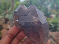 Natural Smokey Quartz Crystals x 6 From Zomba, Malawi