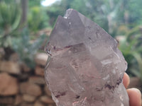 Natural Smokey Quartz Crystals x 6 From Zomba, Malawi