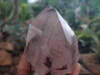 Natural Smokey Quartz Crystals x 6 From Zomba, Malawi