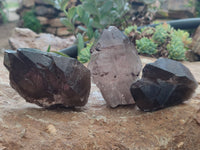 Natural Smokey Quartz Crystals x 6 From Zomba, Malawi