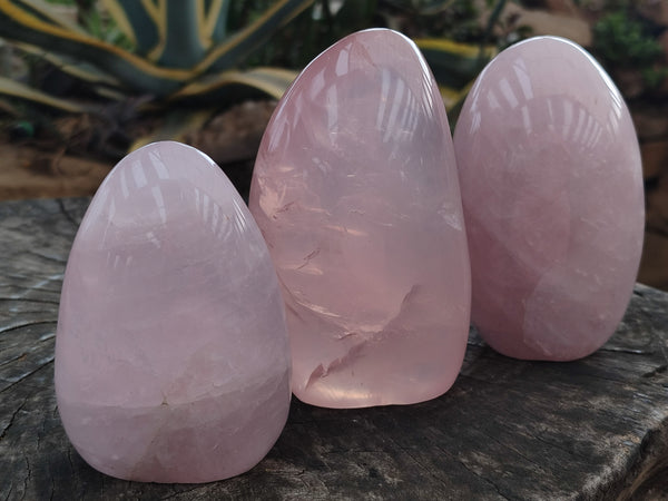 Polished Rose Quartz Standing Free Forms x 3 From Madagascar