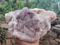 Natural Jacaranda Amethyst Quartz Cluster x 1 from Mumbwa, Zambia