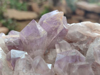 Natural Jacaranda Amethyst Quartz Cluster x 1 from Mumbwa, Zambia