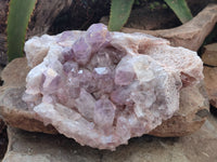 Natural Jacaranda Amethyst Quartz Cluster x 1 from Mumbwa, Zambia