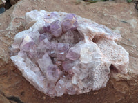 Natural Jacaranda Amethyst Quartz Cluster x 1 from Mumbwa, Zambia