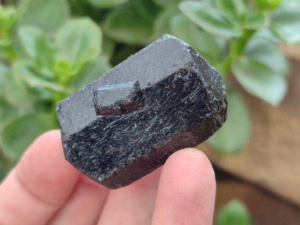 Natural Schorl Black Tourmaline Specimens x 35 From Zimbabwe