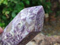 Polished Lepidolite with Pink Rubellite Point x 1 From Ambatondrazaka, Madagascar